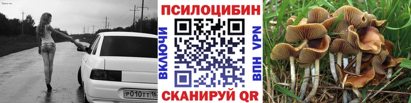 где можно купить   Нариманов  Галлюциногенные грибы Psilocybe 